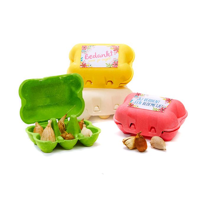 Eierdoosje met bloembollen