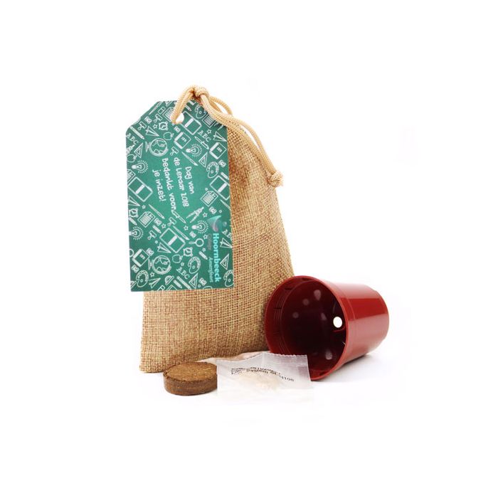 Jute zak koffie kweekset