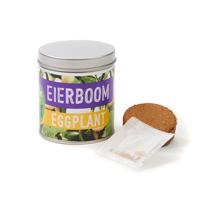 Auberginaplant kweeksetje