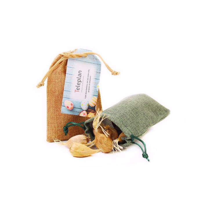 Bloembollen in jute zak medium
