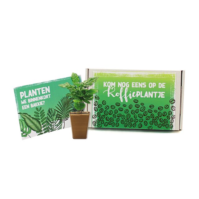 Koffieplant op de deurmat