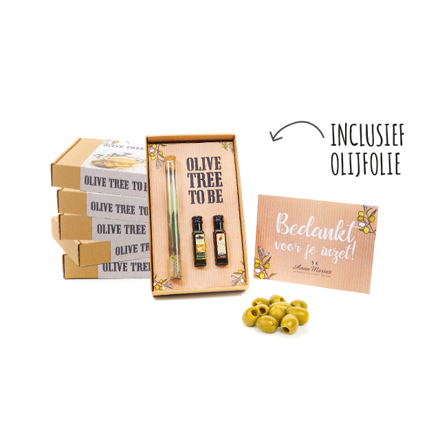 Olive tree to be in cadeauverpakking