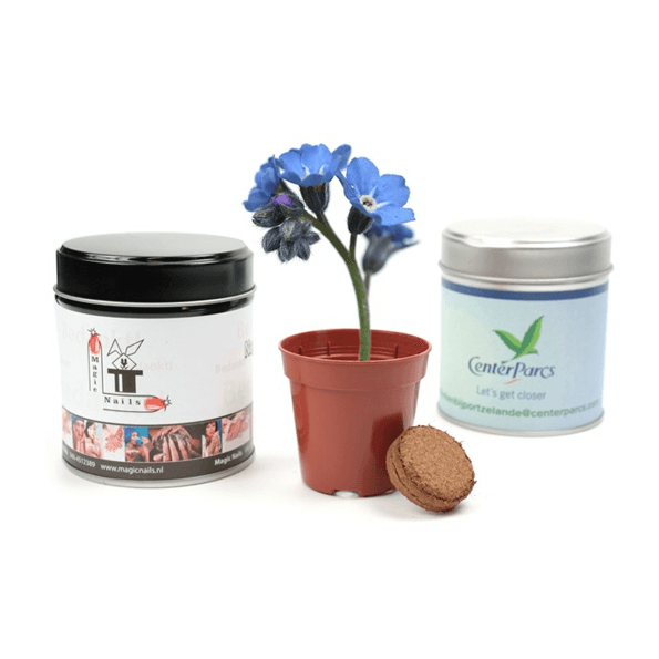 Voorjaarsgeschenken: groene geschenken laten je relatie bloeien