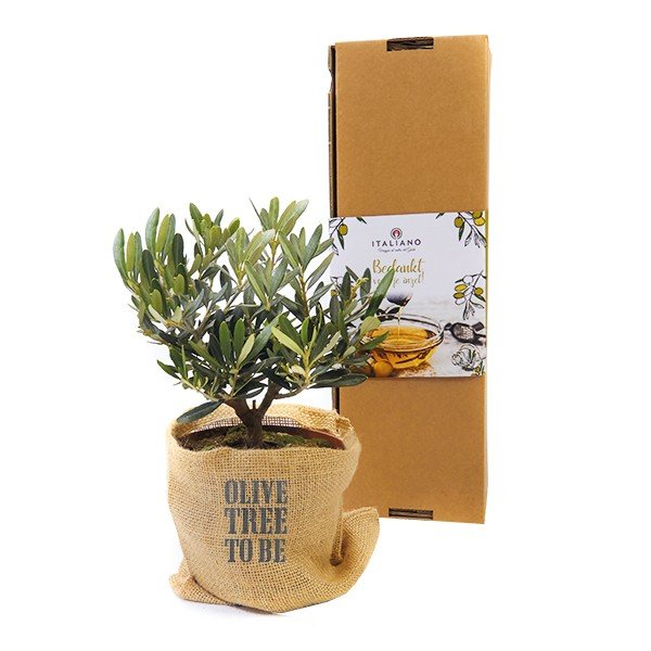 Geef groene relatiegeschenken aan je zakenpartners!