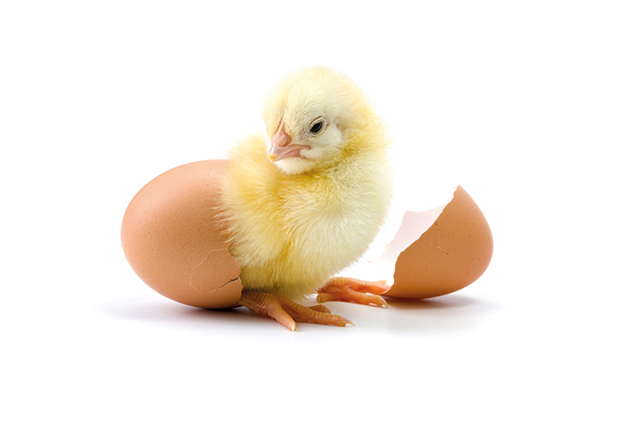 'Huilproef' voor Geluk.com