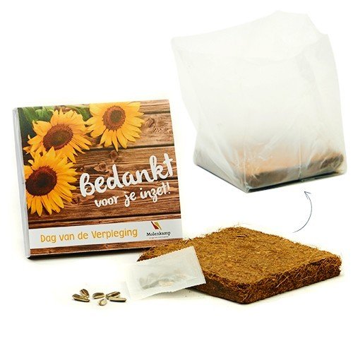 4 Groene cadeaus voor leidsters in de kinderopvang